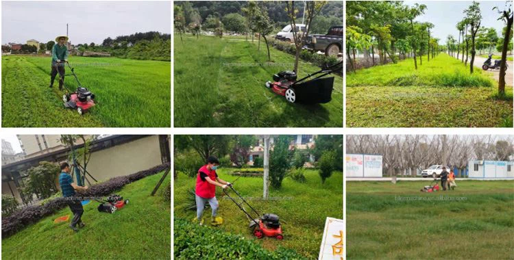 mower (1)