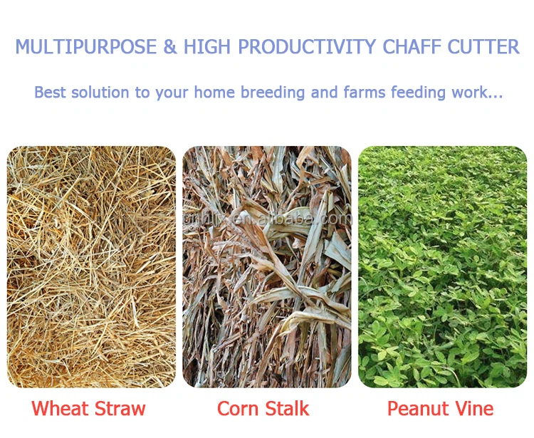 H97876dec55e64806aff48f23d1d28261T