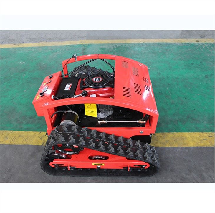 lawn mower (5)