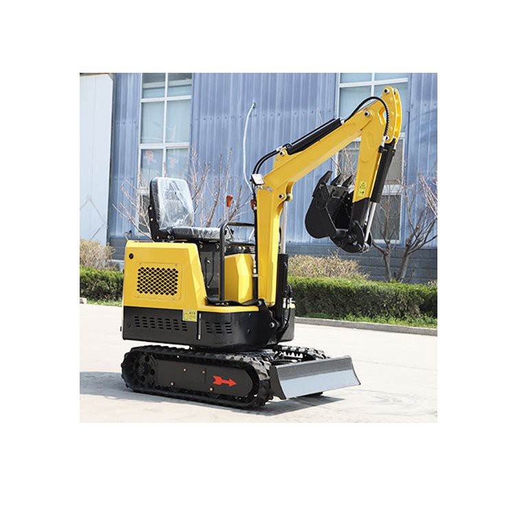 0.8 Ton Cheapest Mini Excavator Xn10 with Swing Arm