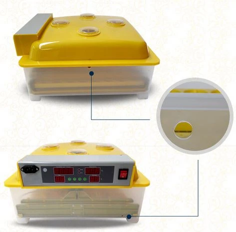 Small Capacity Incubator
